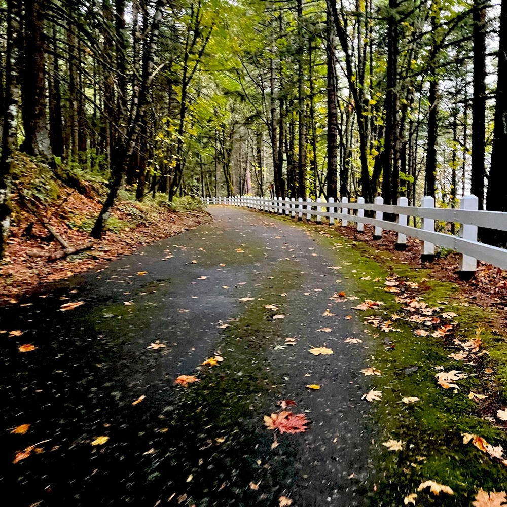 Meet your Posher, Carmen